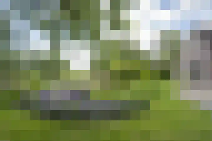 Lage Giessen 16 Hoornaar thumbnail 58