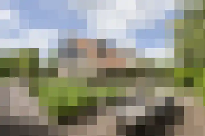 Lage Giessen 16 Hoornaar thumbnail 59