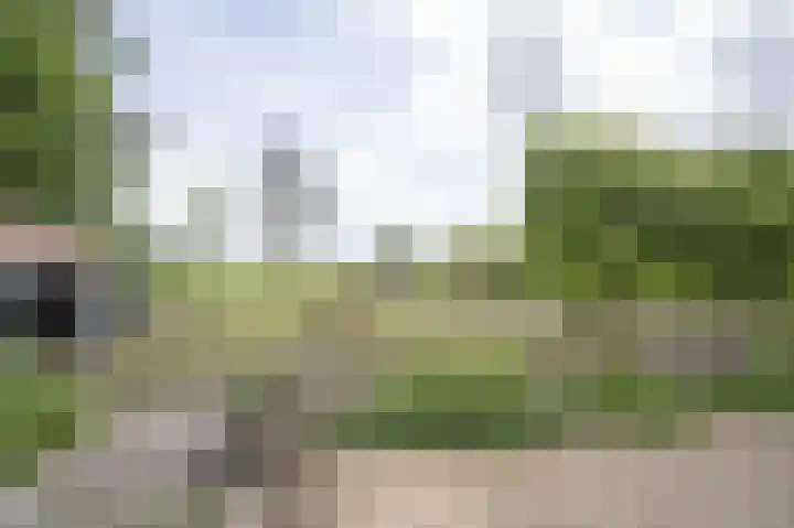 Lage Giessen 16 Hoornaar thumbnail 60