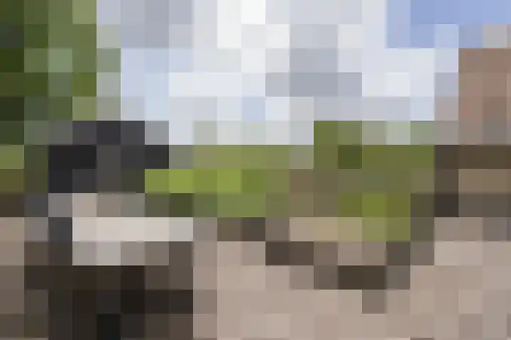 Lage Giessen 16 Hoornaar thumbnail 61