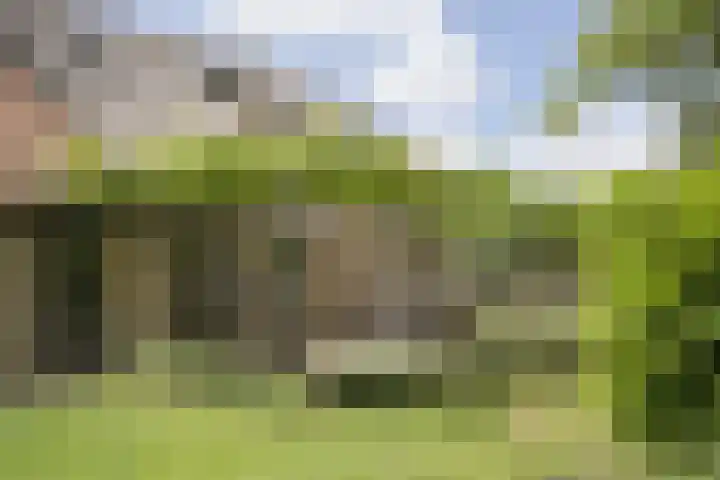 Lage Giessen 16 Hoornaar thumbnail 62