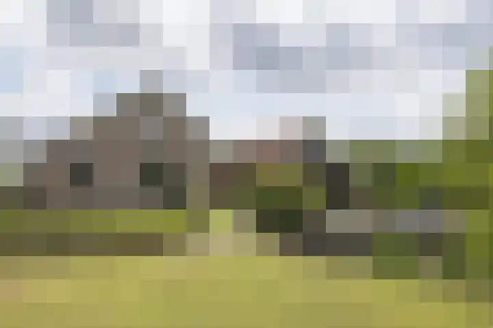 Lage Giessen 16 Hoornaar thumbnail 63