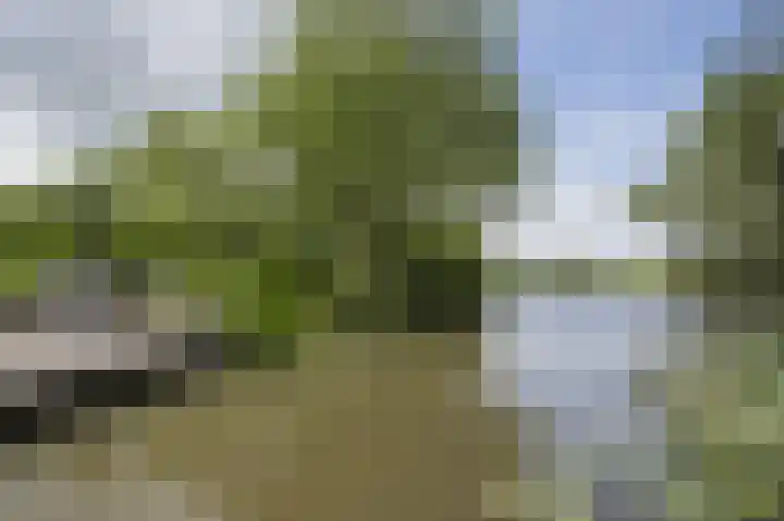 Lage Giessen 16 Hoornaar thumbnail 64