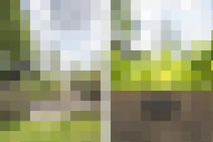 Lage Giessen 16 Hoornaar thumbnail 66