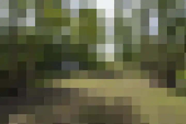 Lage Giessen 16 Hoornaar thumbnail 67