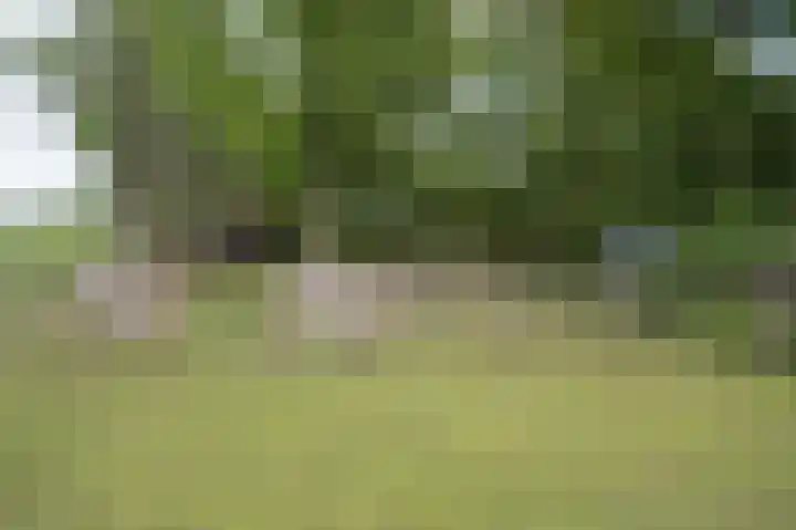 Lage Giessen 16 Hoornaar thumbnail 68