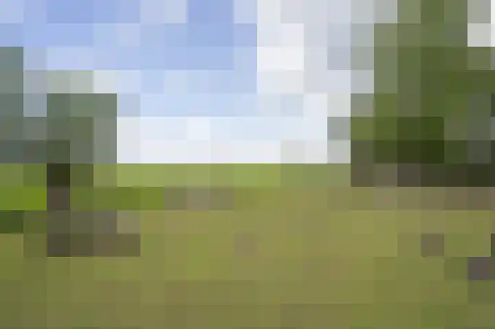 Lage Giessen 16 Hoornaar thumbnail 69