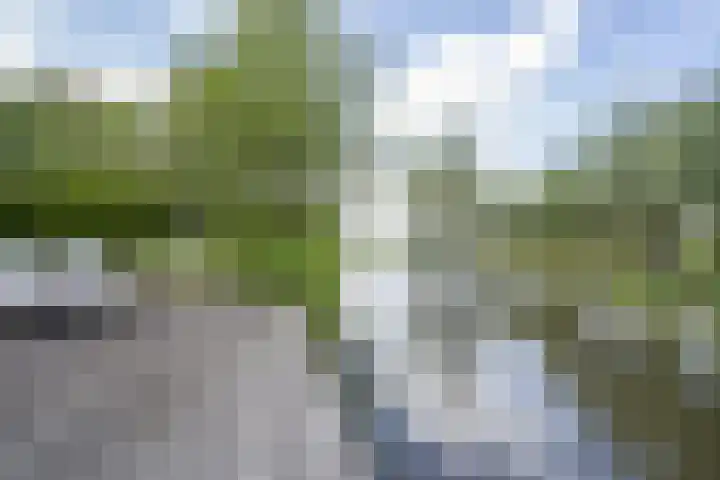 Lage Giessen 16 Hoornaar thumbnail 70