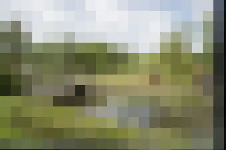 Lage Giessen 16 Hoornaar thumbnail 71