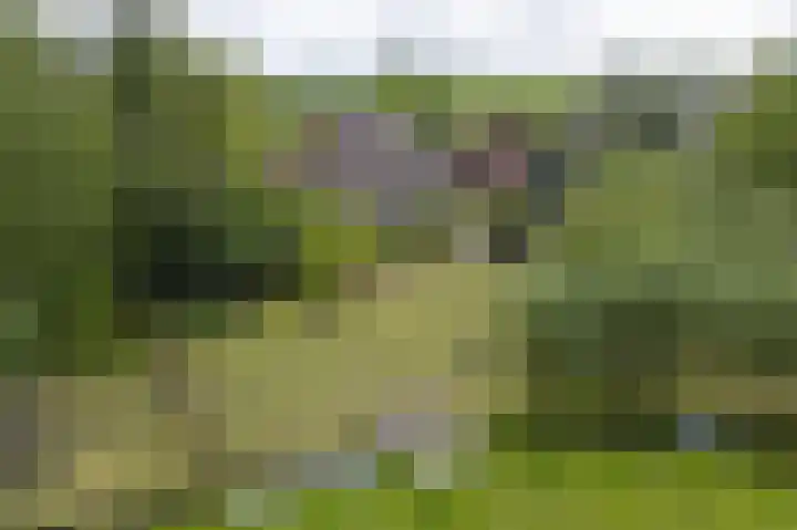 Lage Giessen 16 Hoornaar thumbnail 73