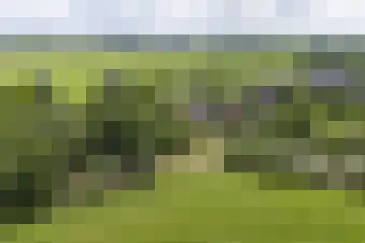 Lage Giessen 16 Hoornaar thumbnail 74