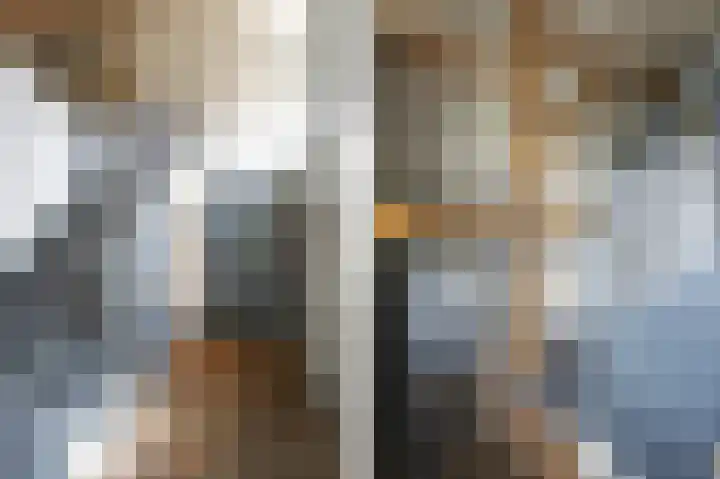 Lage Giessen 16 Hoornaar thumbnail 8