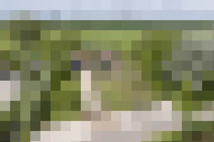 Lage Giessen 16 Hoornaar thumbnail 81