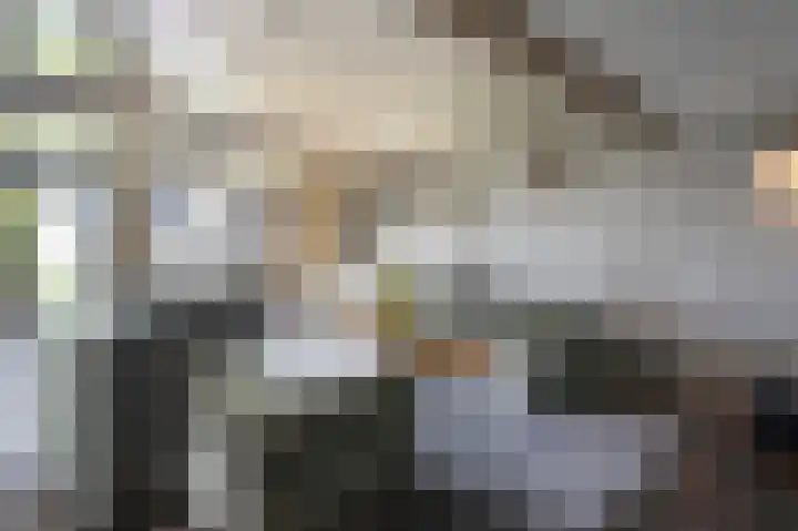 Lage Giessen 16 Hoornaar thumbnail 9