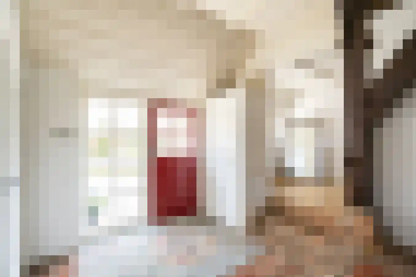 Lage Giessen 17 Hoornaar thumbnail 16