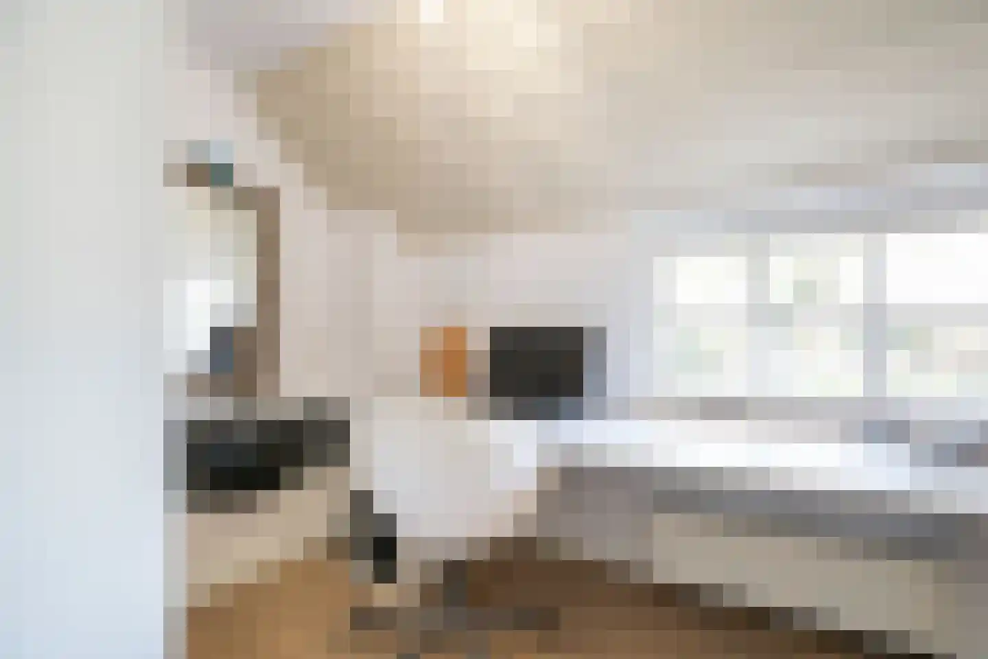Lage Giessen 17 Hoornaar thumbnail 17