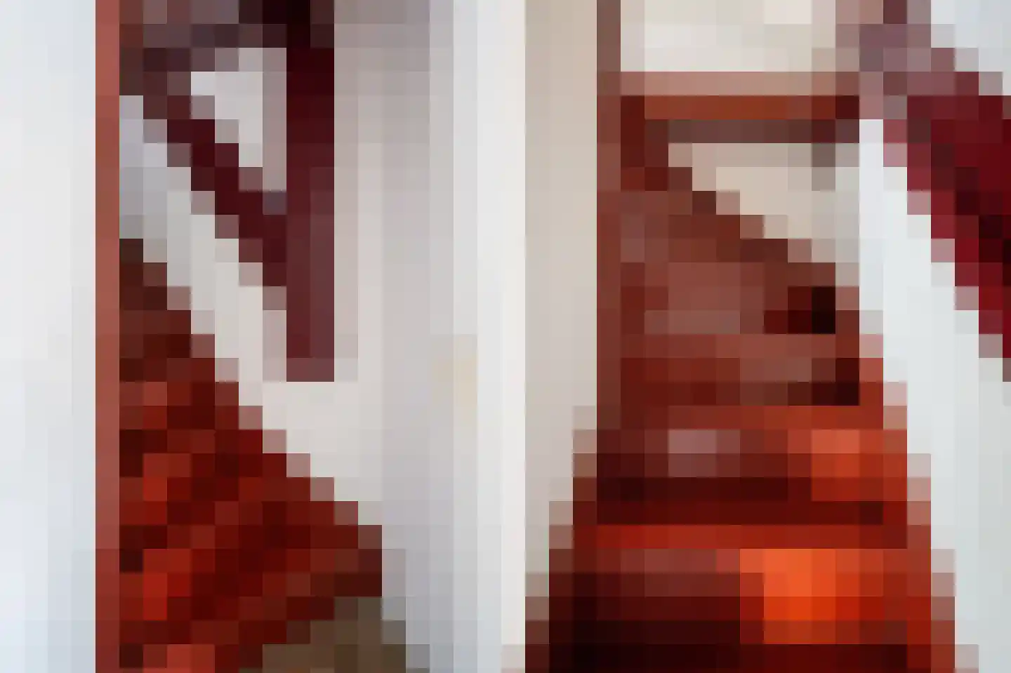 Lage Giessen 17 Hoornaar thumbnail 24