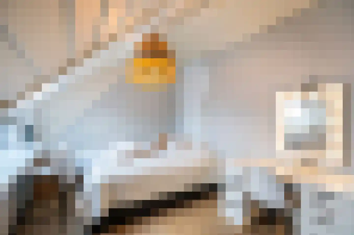 Lage Giessen 17 Hoornaar thumbnail 25