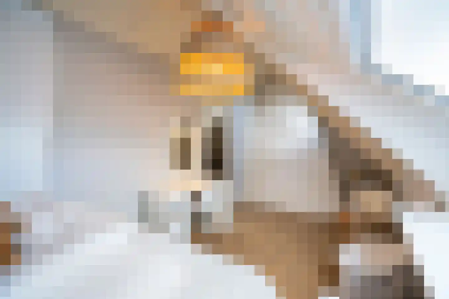 Lage Giessen 17 Hoornaar thumbnail 26