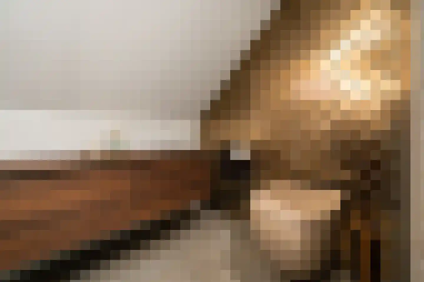 Lage Giessen 17 Hoornaar thumbnail 28