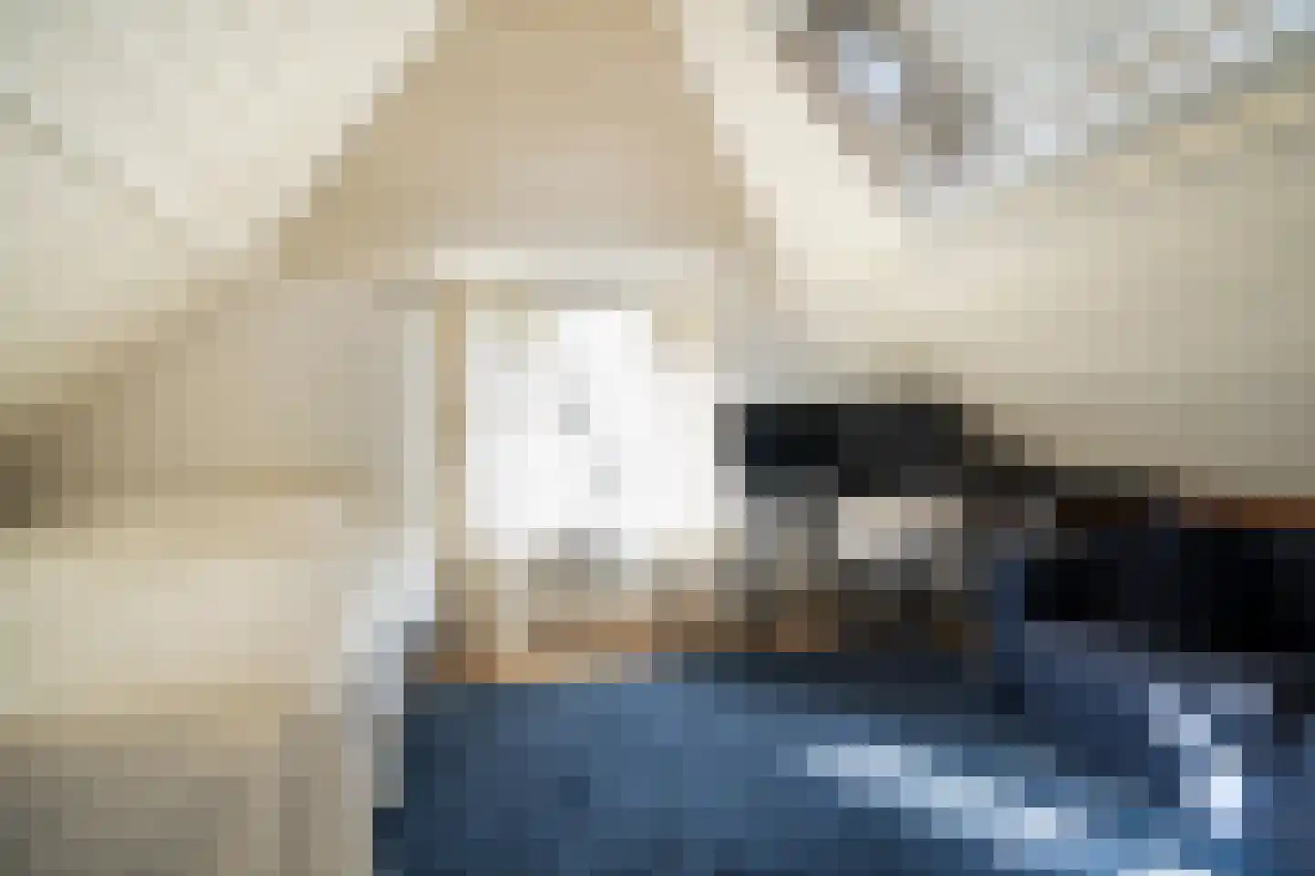 Lage Giessen 17 Hoornaar thumbnail 29