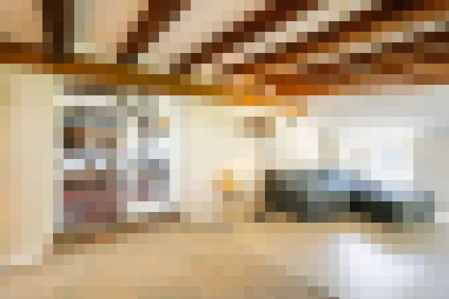 Lage Giessen 17 Hoornaar thumbnail 31