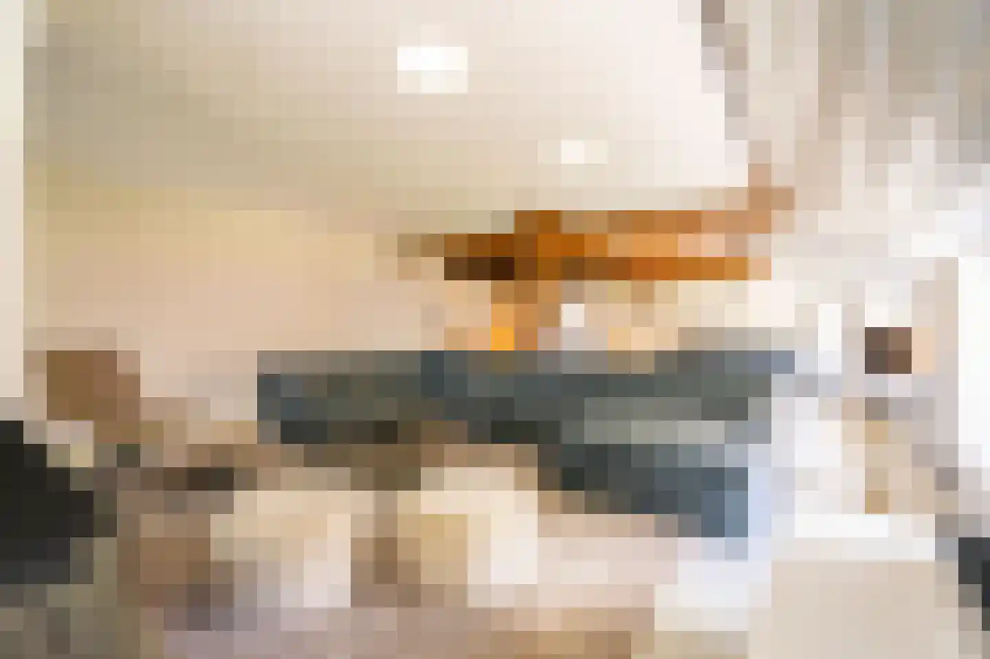 Lage Giessen 17 Hoornaar thumbnail 36