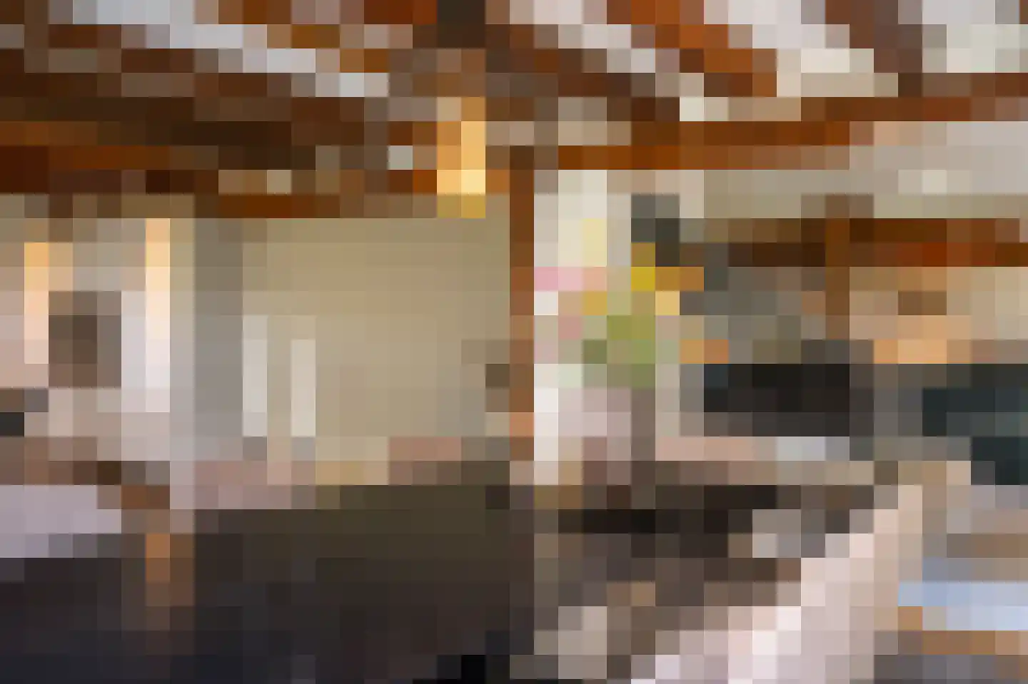 Lage Giessen 17 Hoornaar thumbnail 37