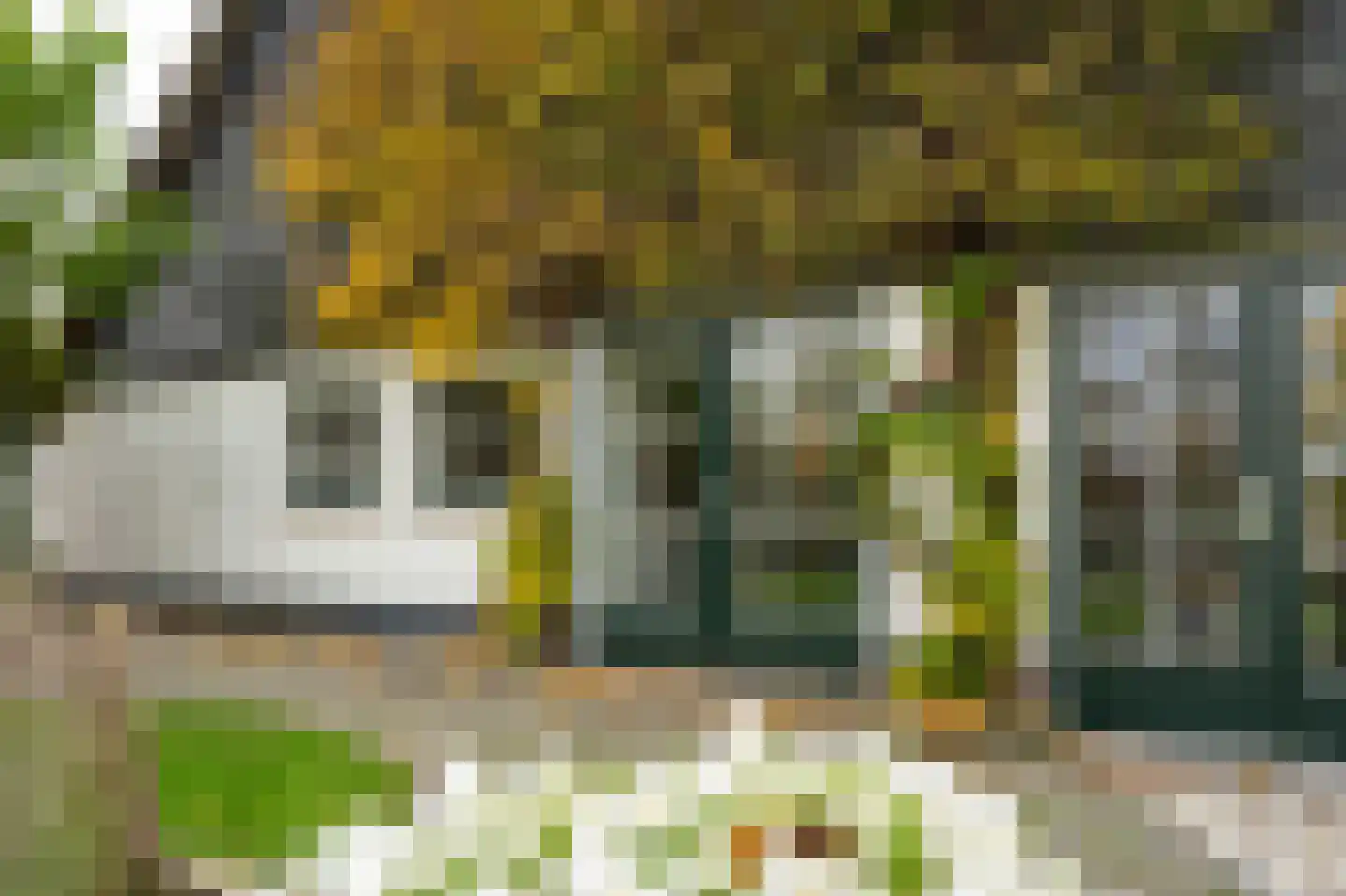 Lage Giessen 17 Hoornaar thumbnail 45