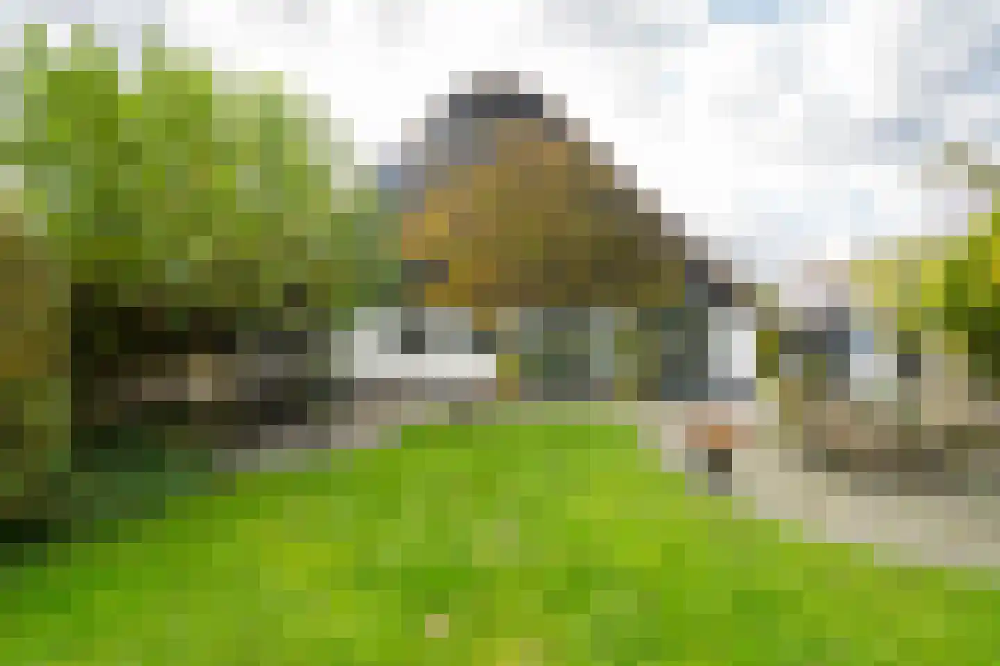 Lage Giessen 17 Hoornaar thumbnail 46