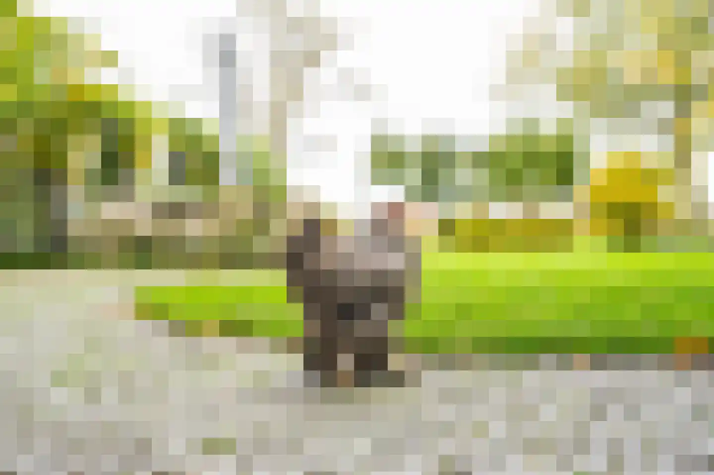 Lage Giessen 17 Hoornaar thumbnail 48