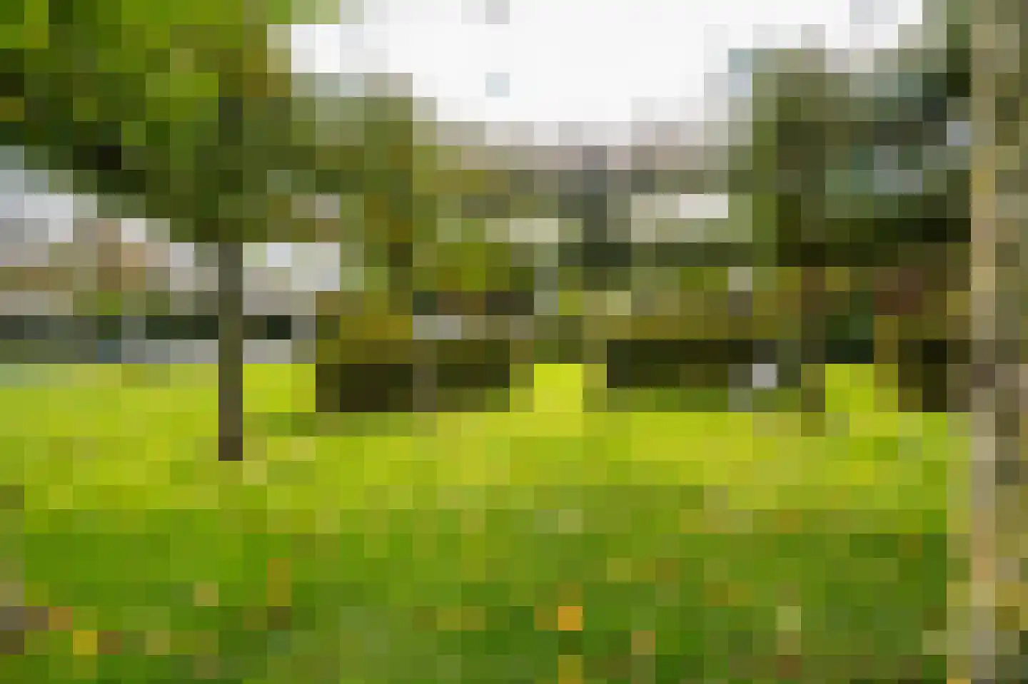 Lage Giessen 17 Hoornaar thumbnail 49
