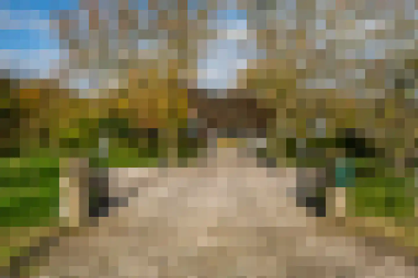 Lage Giessen 17 Hoornaar thumbnail 5