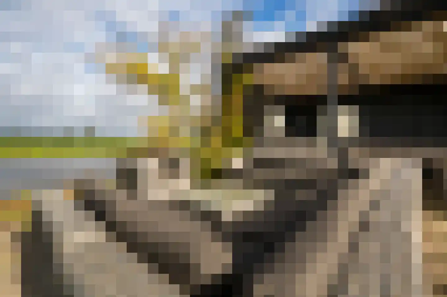 Lage Giessen 17 Hoornaar thumbnail 53