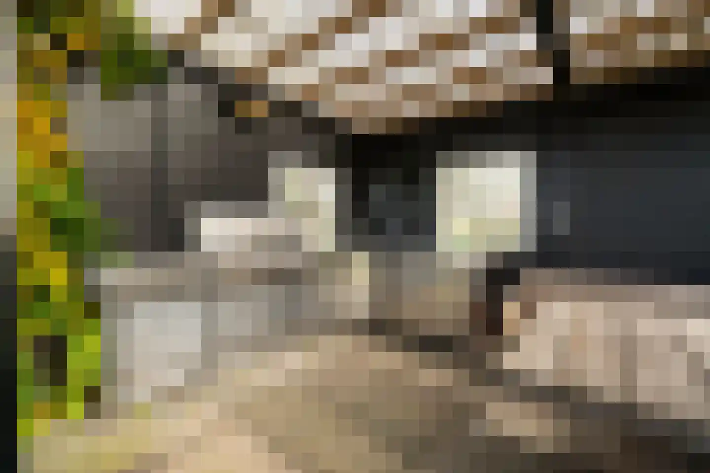 Lage Giessen 17 Hoornaar thumbnail 54
