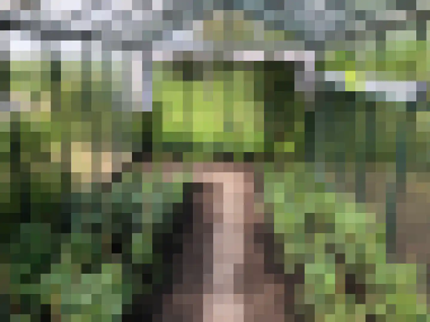 Lage Giessen 17 Hoornaar thumbnail 56