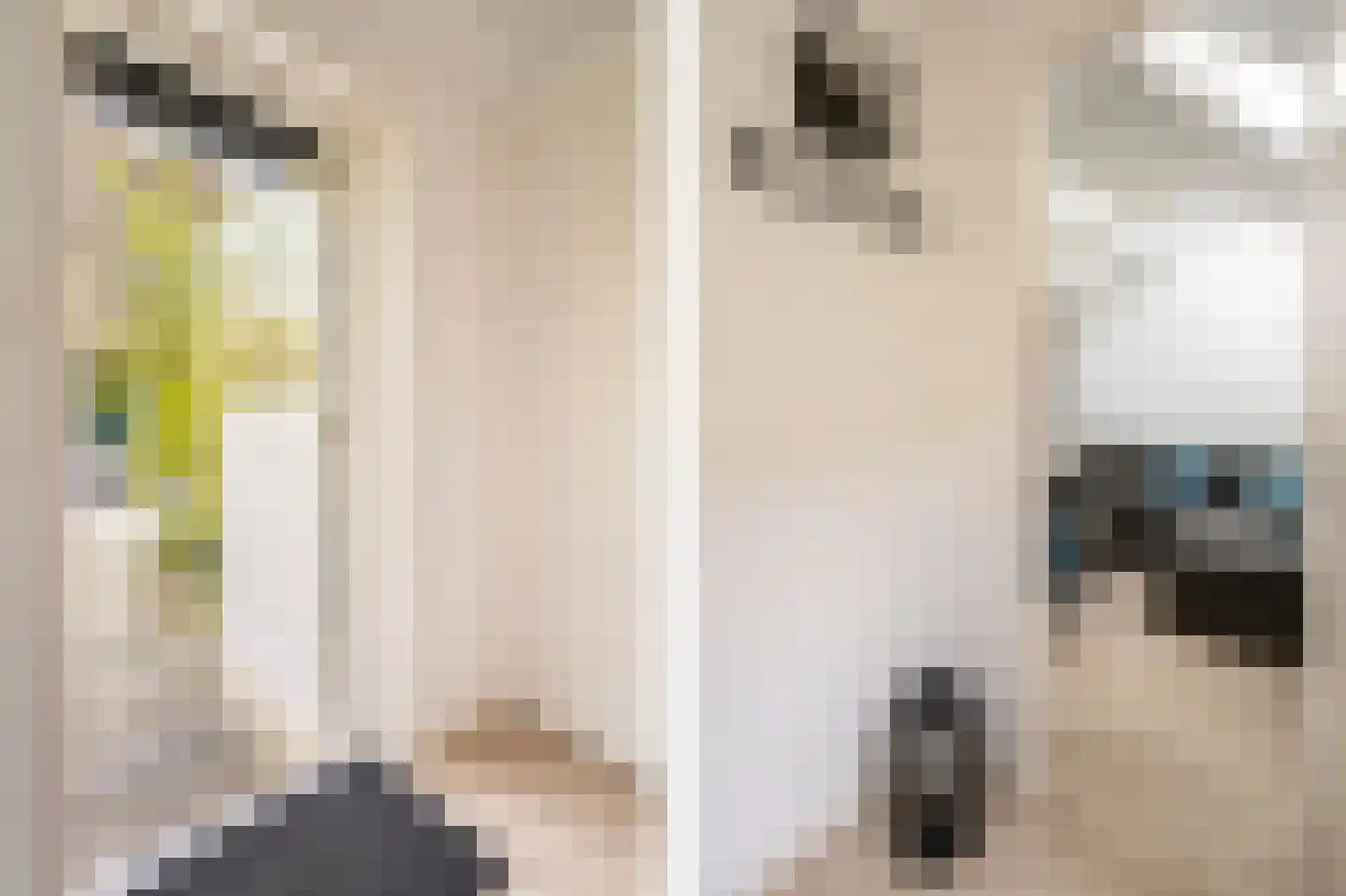 Lage Giessen 17 Hoornaar thumbnail 58