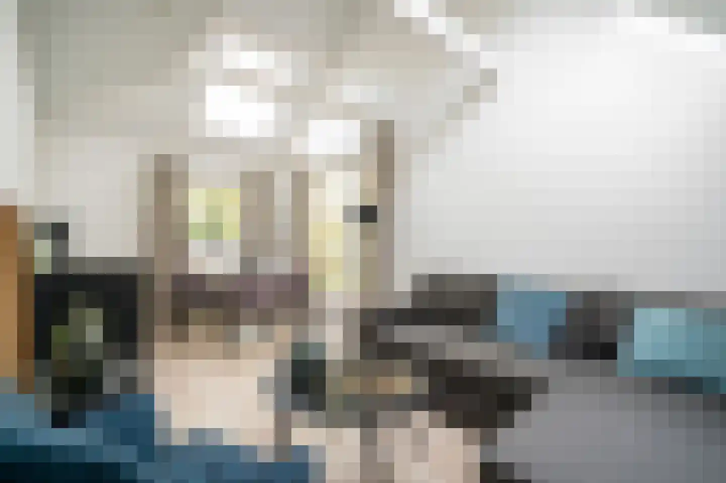 Lage Giessen 17 Hoornaar thumbnail 60