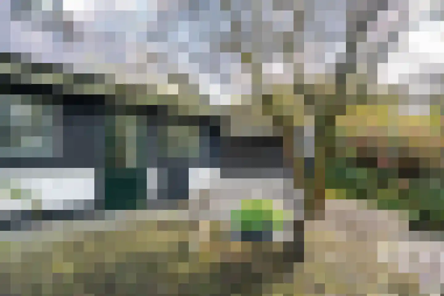 Lage Giessen 17 Hoornaar thumbnail 62