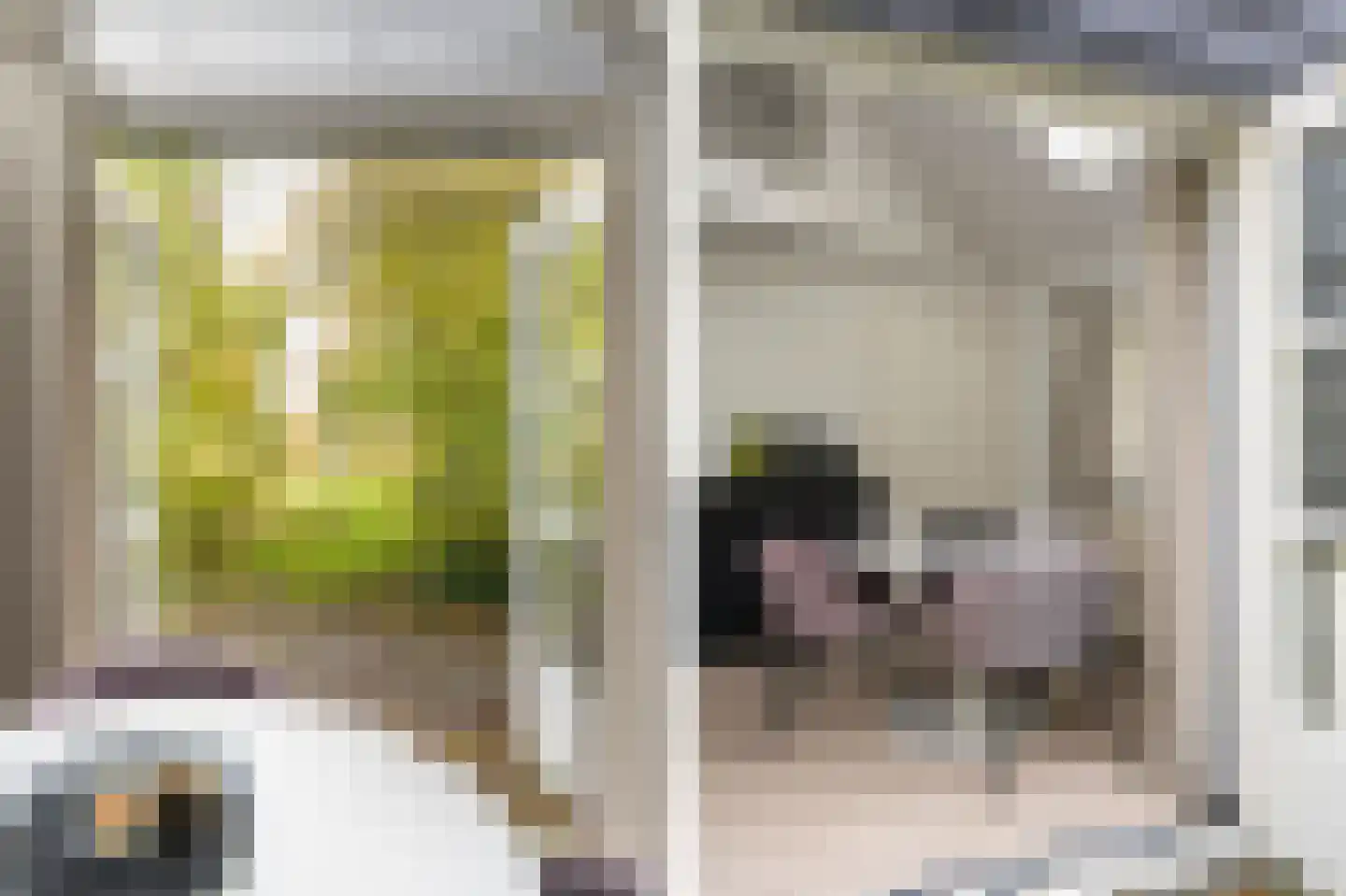 Lage Giessen 17 Hoornaar thumbnail 63