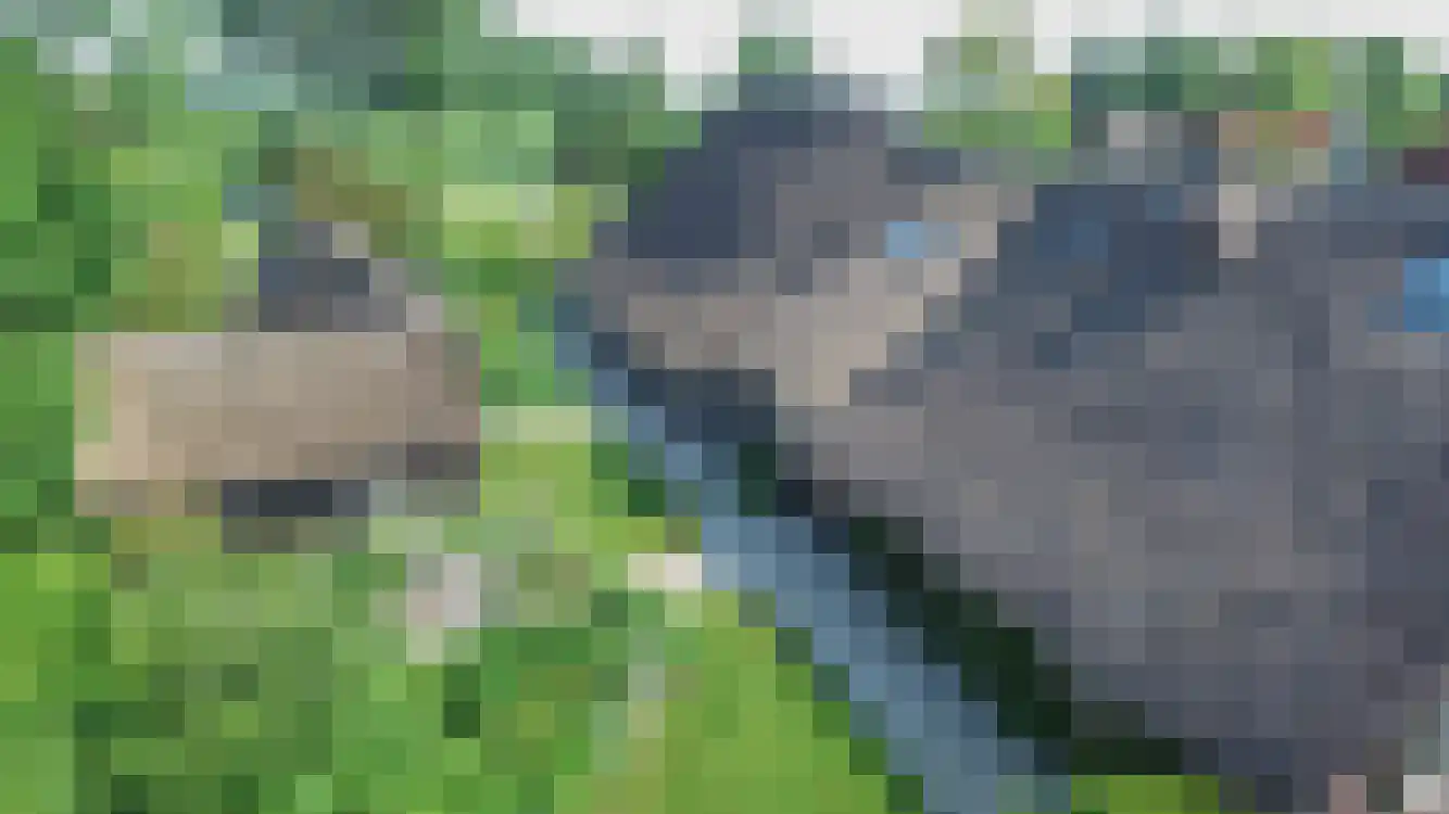 Lage Giessen 17 Hoornaar thumbnail 66