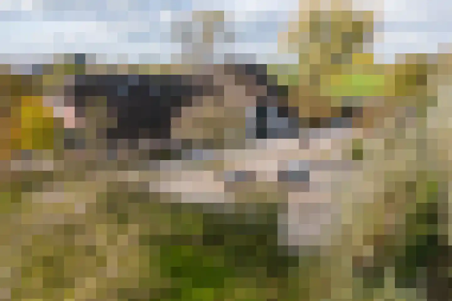 Lage Giessen 17 Hoornaar thumbnail 66