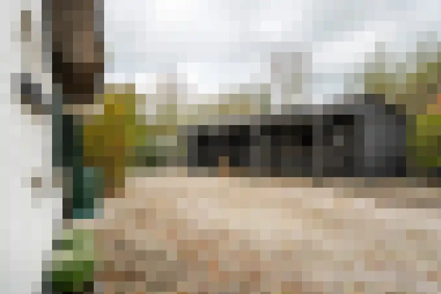 Lage Giessen 17 Hoornaar thumbnail 8