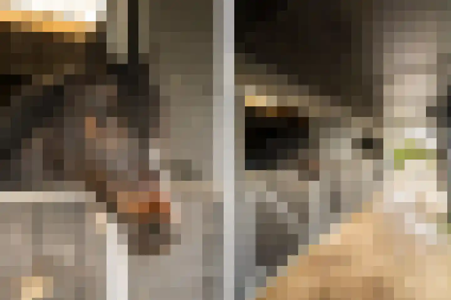 Lage Giessen 17 Hoornaar thumbnail 9