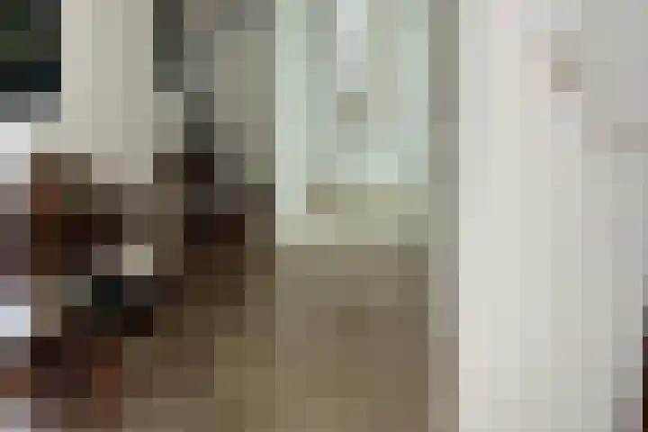 Lage Giessen 19 Hoornaar thumbnail 12