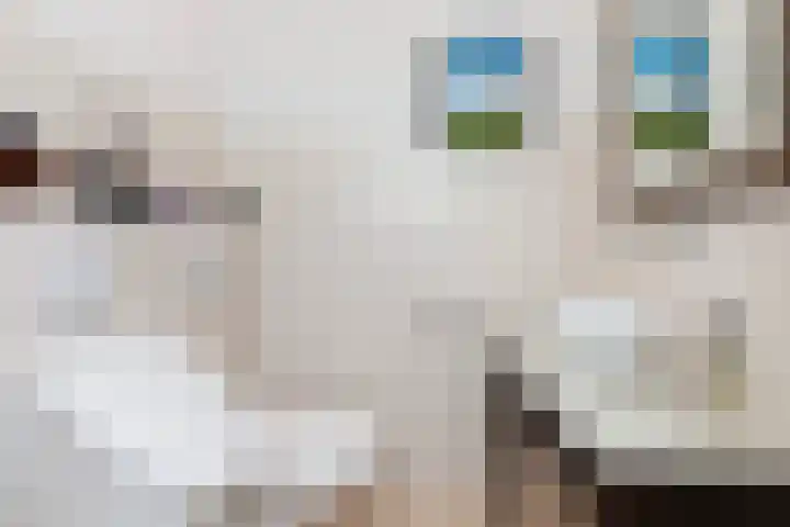 Lage Giessen 19 Hoornaar thumbnail 15