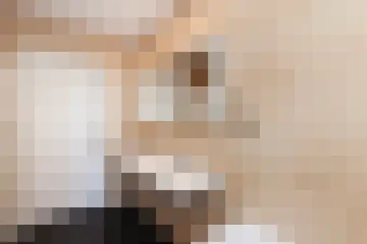 Lage Giessen 19 Hoornaar thumbnail 17