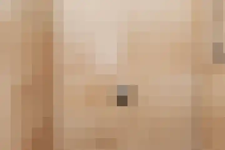 Lage Giessen 19 Hoornaar thumbnail 18