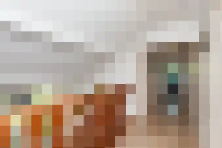 Lage Giessen 19 Hoornaar thumbnail 19