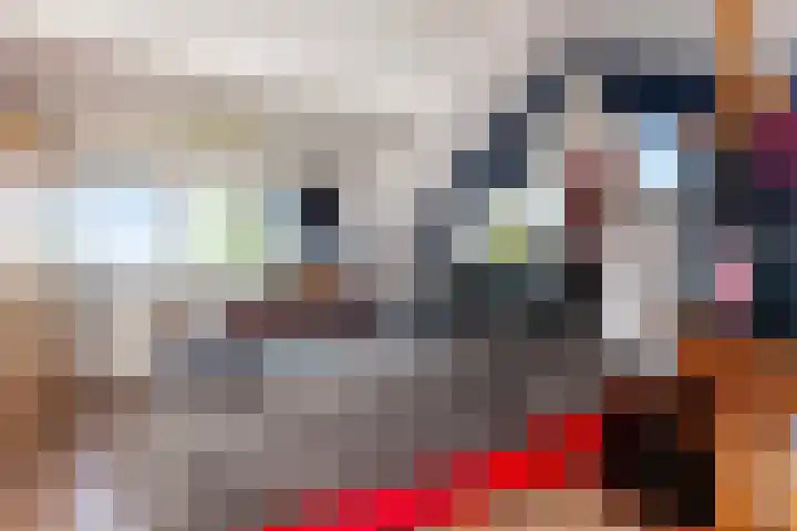 Lage Giessen 19 Hoornaar thumbnail 21